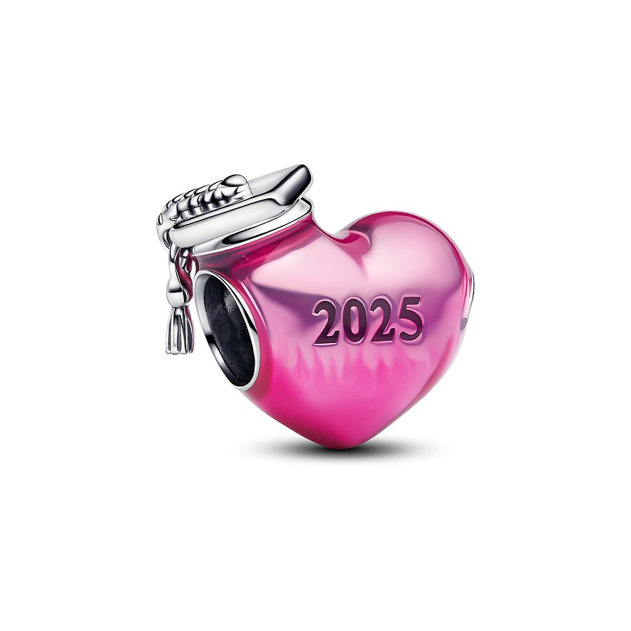 Pandora Charm Moments 793788C01