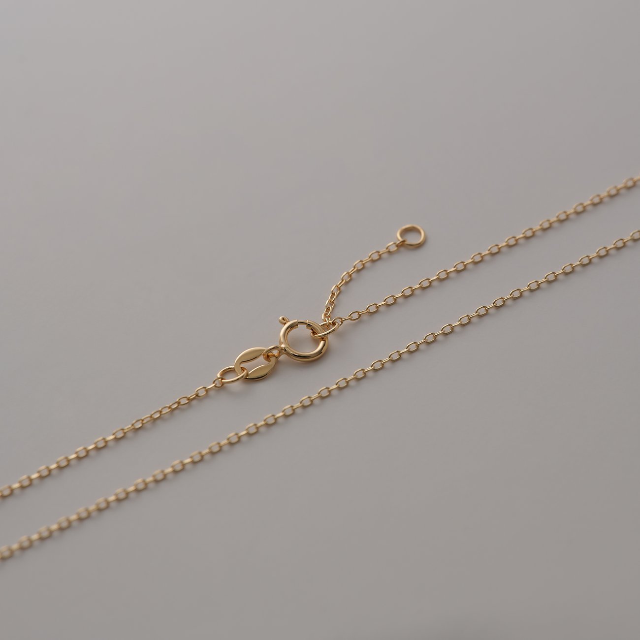 Nahaufnahme des Verschlusses und des goldfarbenen Kettendesigns der CHRIST Halskette aus 585er Gelbgold.