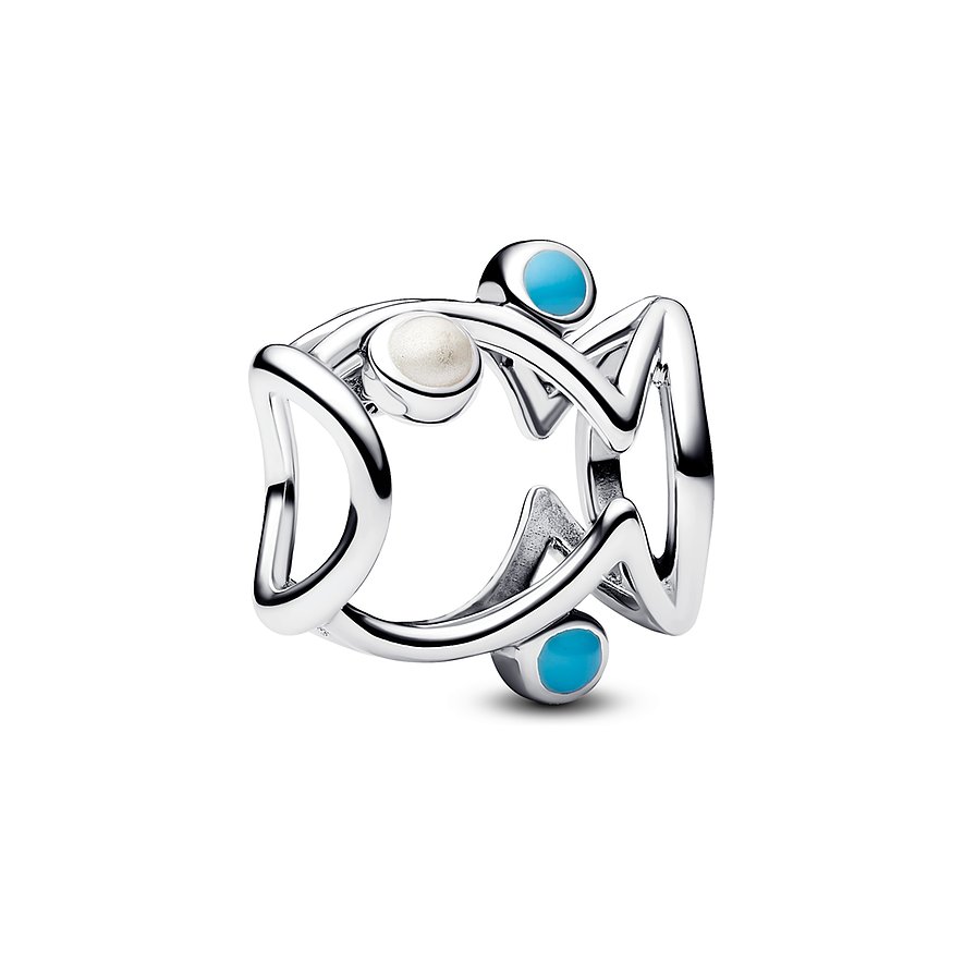 Pandora Charm Moments 793819C01