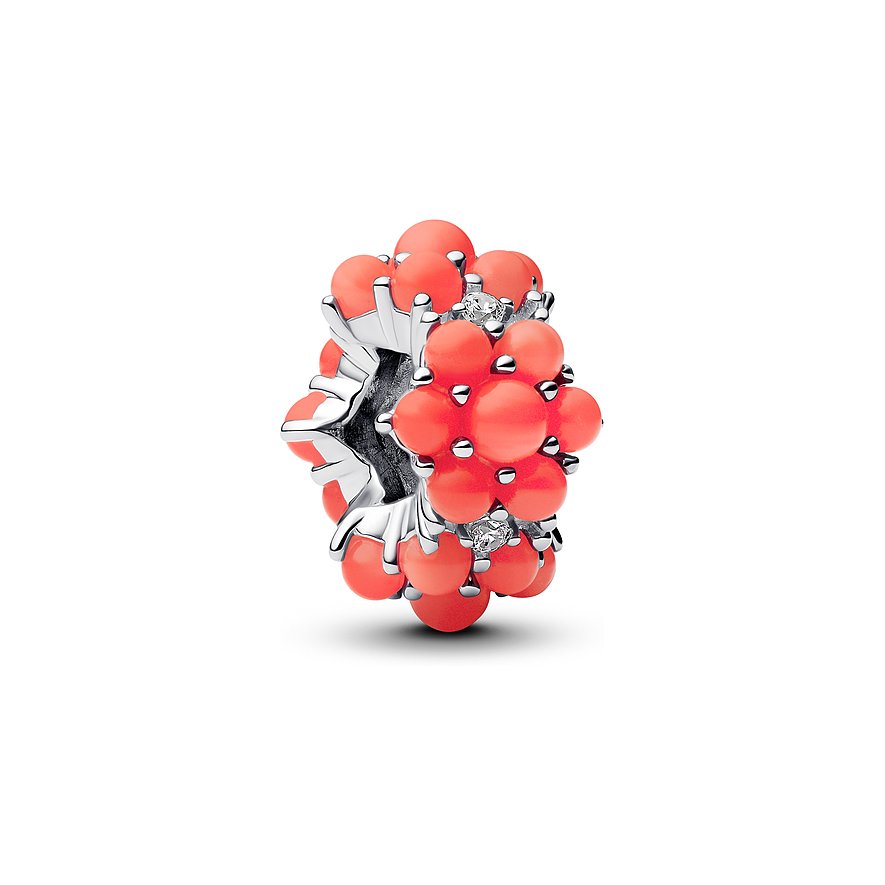 Pandora Charm Moments 793897C01