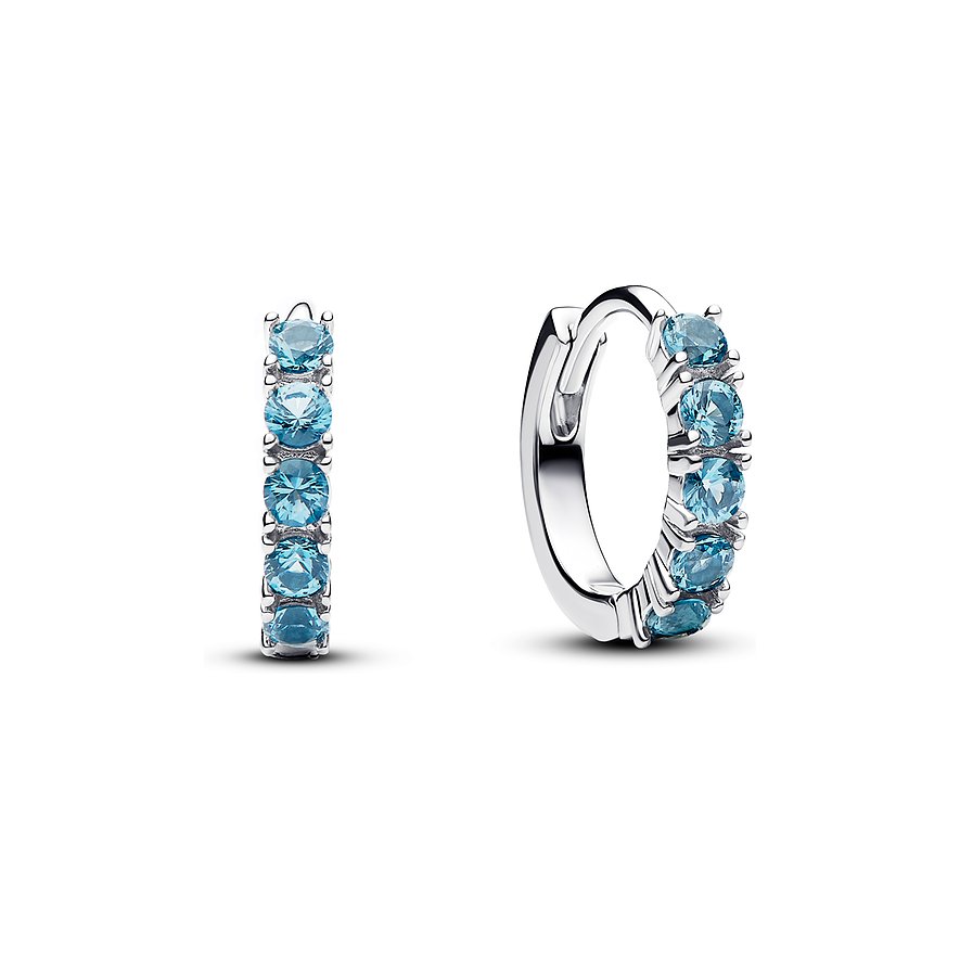 Pandora Creolen Timeless 293849C01