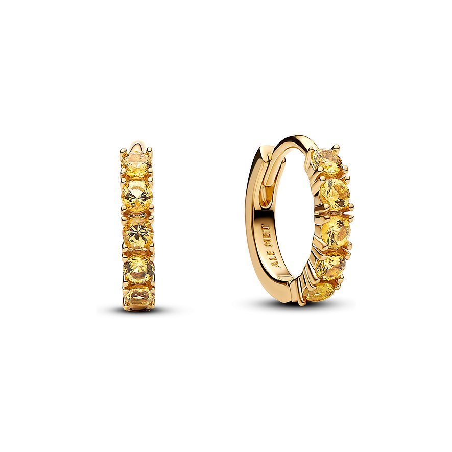 Pandora Creolen Timeless 263849C01