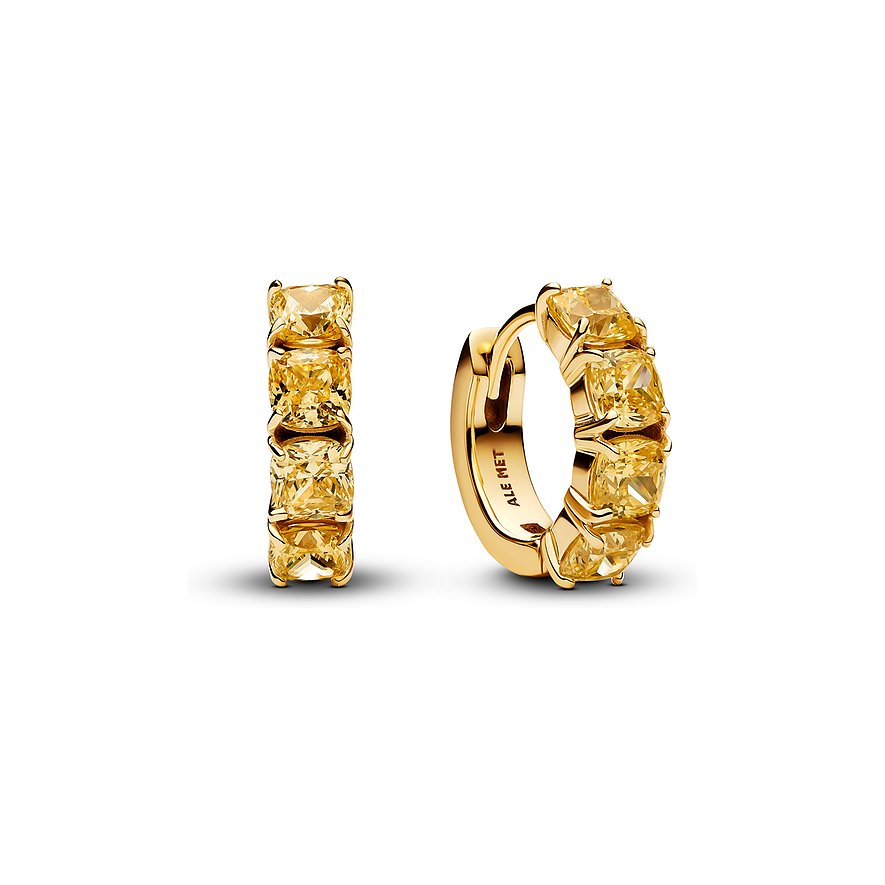 Pandora Creolen Timeless 263851C02