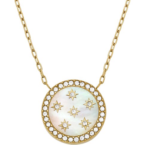 Fossil halsband i rostfritt stål med glaskristaller och stjärnmotiv.