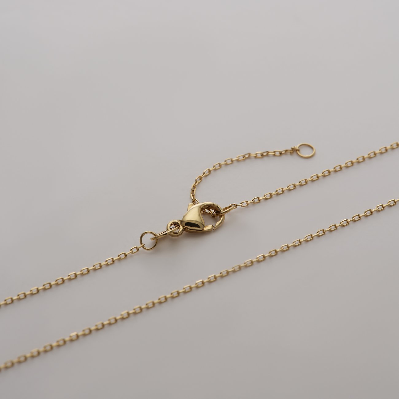 Detailansicht der goldfarbenen Kette des CHRIST Halsschmucks aus 585 Gelbgold mit Verschluss und Verlängerung.