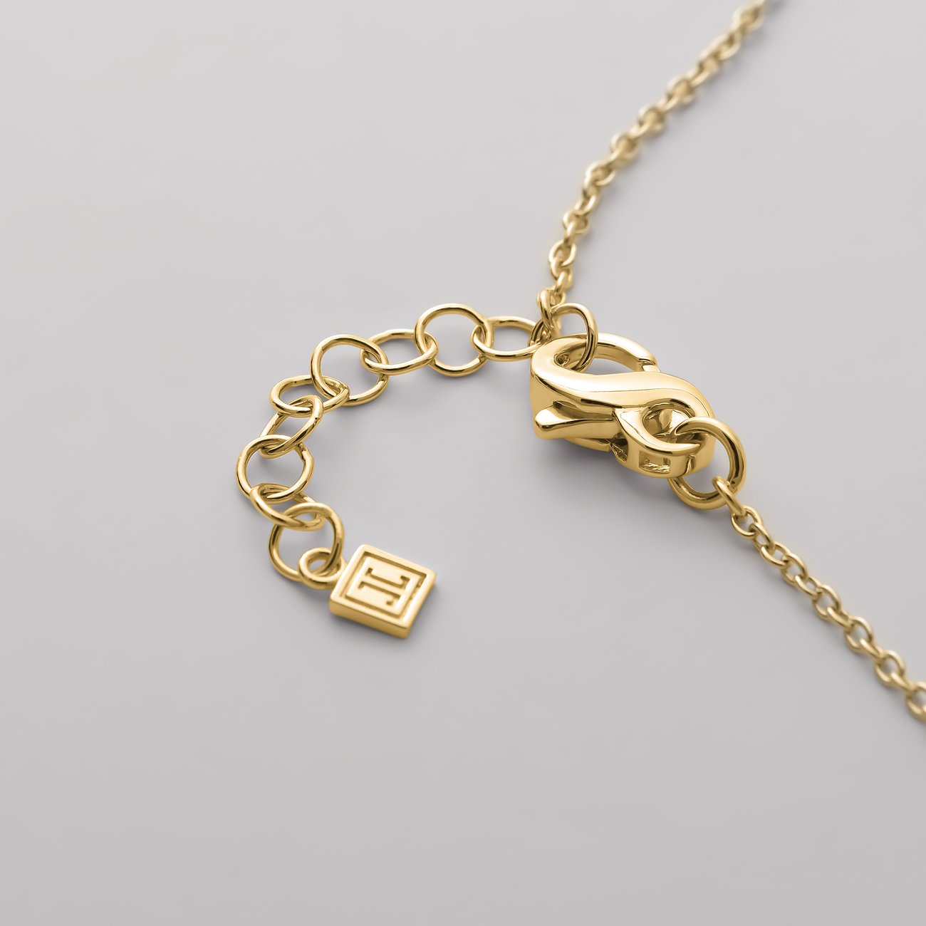 Närbild på JETTE karbinhaken och förlängningskedjan, tillverkade av återvunnet, guldfärgat 925 sterlingsilver.