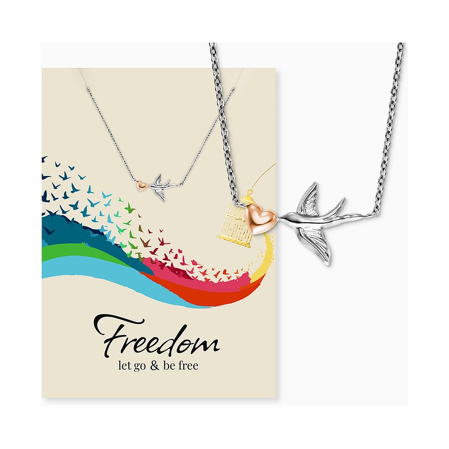 Engelsrufer halsband i rostfritt stål, som visar en stiliserad fågel, ett hjärta och en bur.