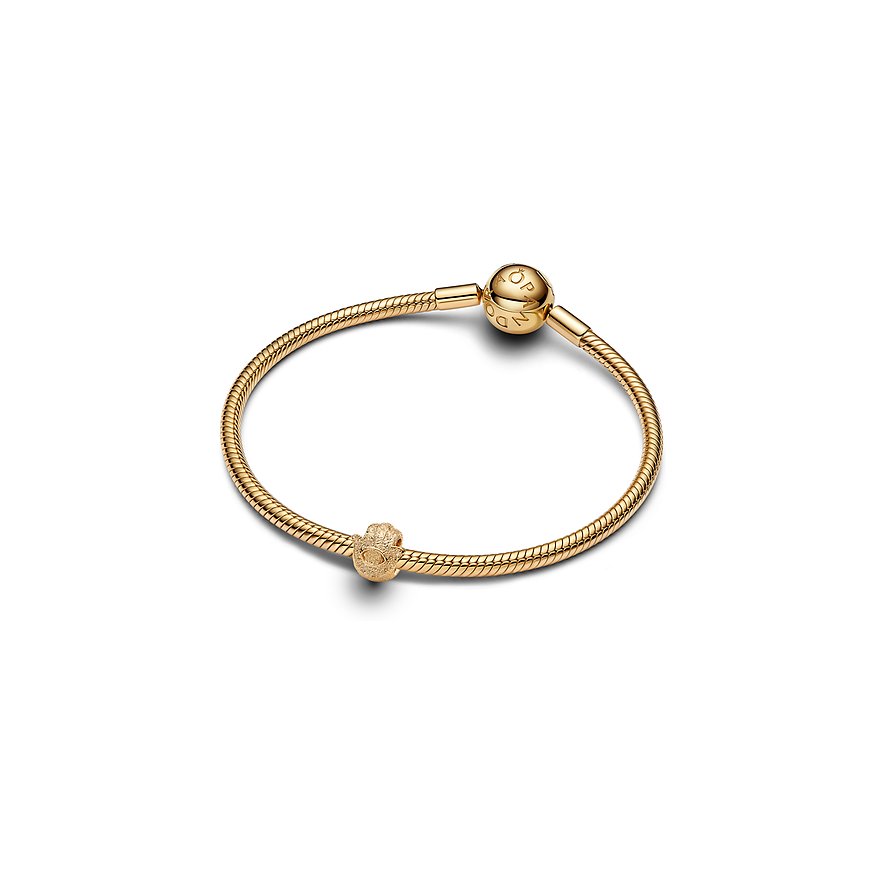 Pandora Charm Moments 764042C00