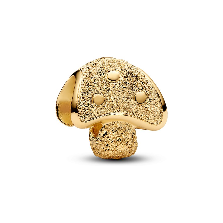 Pandora Charm Moments 764048C00