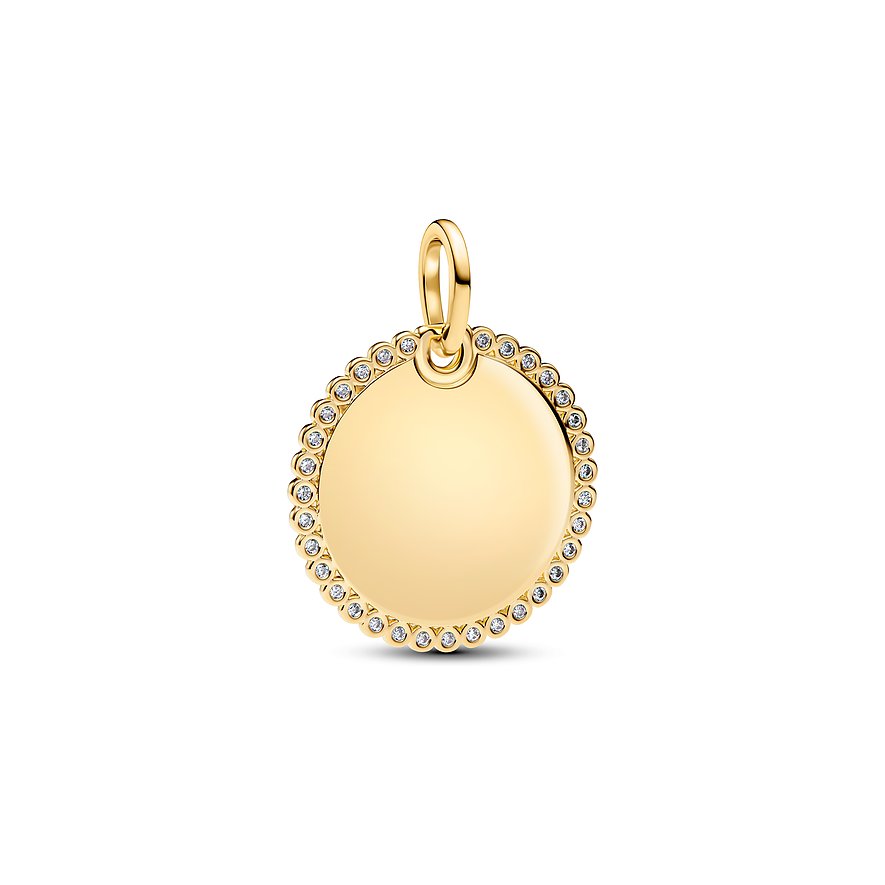 Pandora Anhänger Moments 364007C01