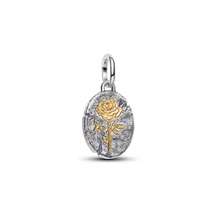 Pandora Charm ME 764087C00