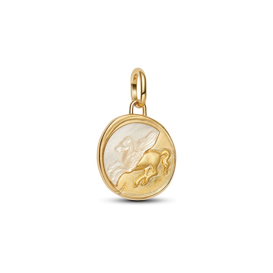 Pandora Charm ME 764090C01