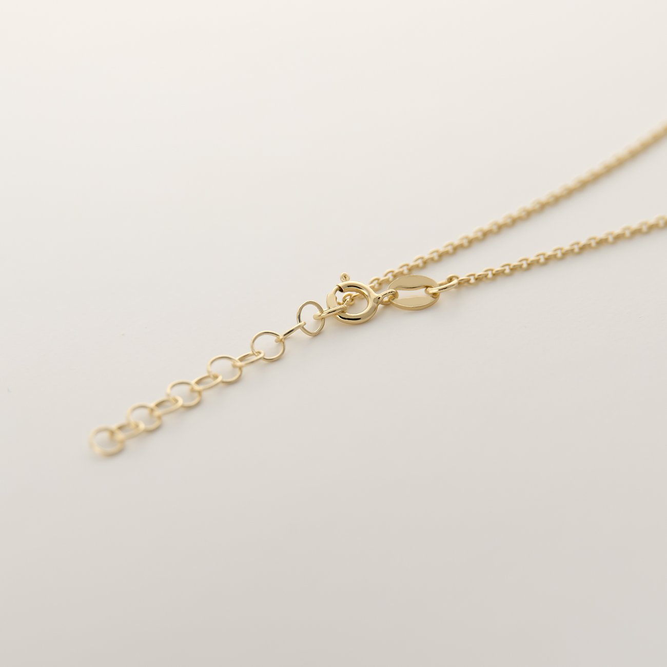 FAVS 925er Silber Halskette mit goldenem Karabinerverschluss und Verlängerungskettchen Detailansicht.