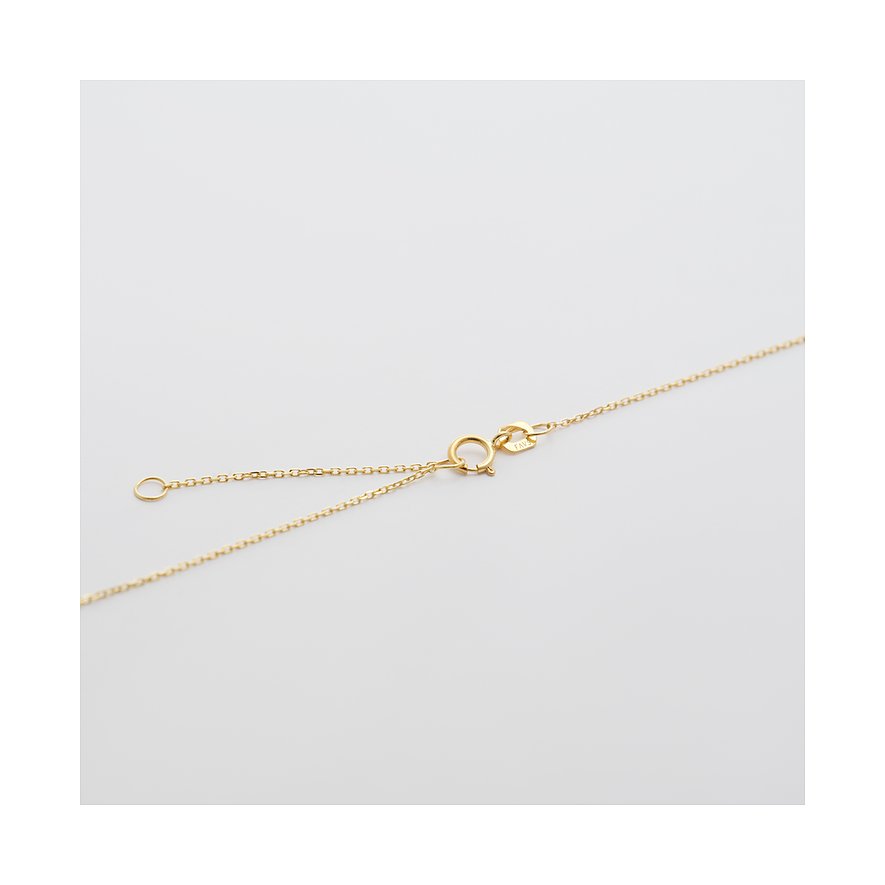 FAVS Halskette aus Gelbgold mit Verschluss und Verlängerungskettchen, auf weißem Hintergrund.