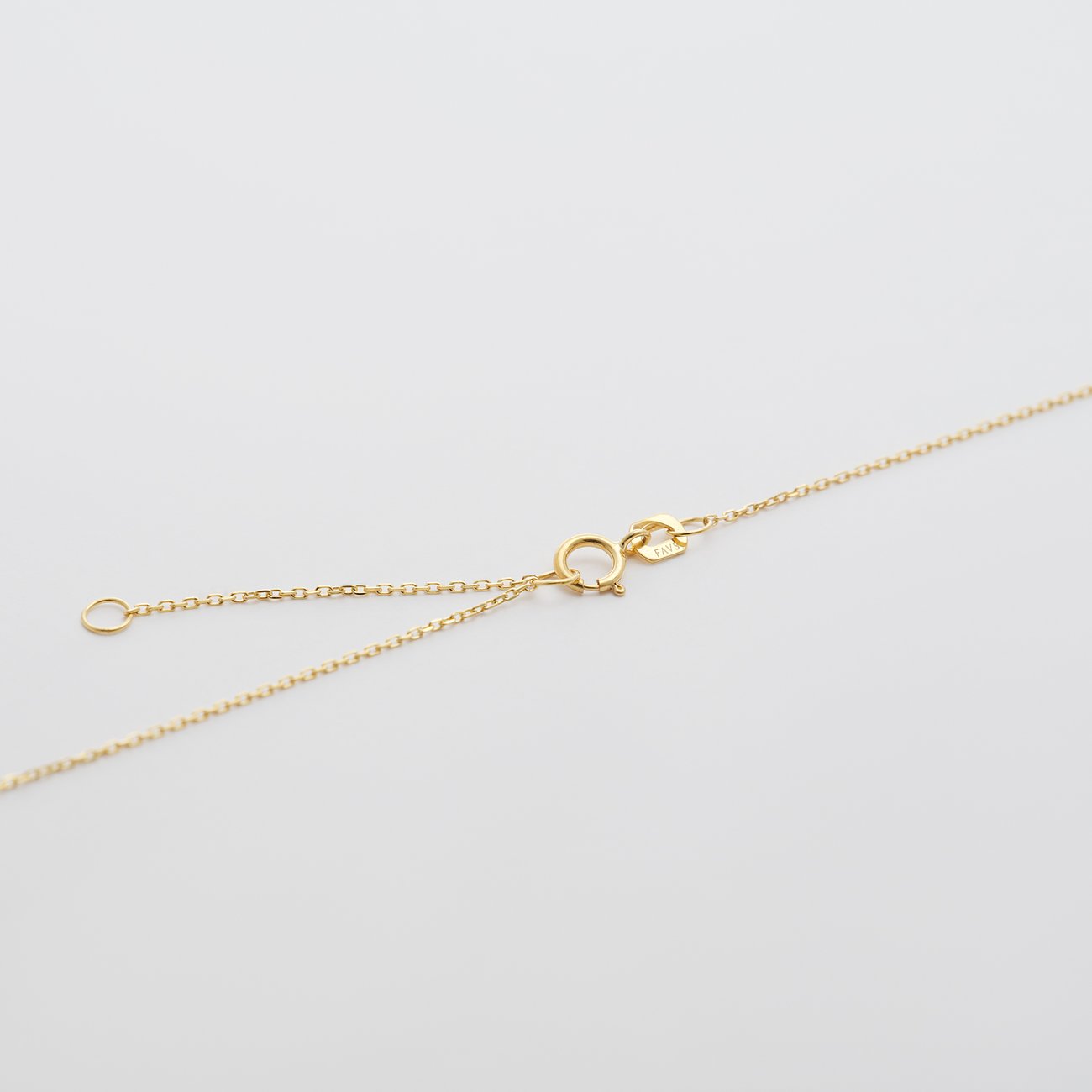 FAVS Halskette aus Gelbgold mit Verschluss und Verlängerungskettchen, auf weißem Hintergrund.