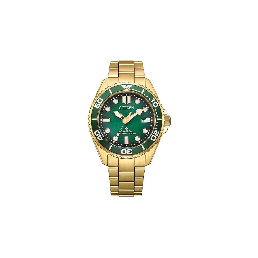 Citizen Herrenuhr Eco-Drive BN0262-59W