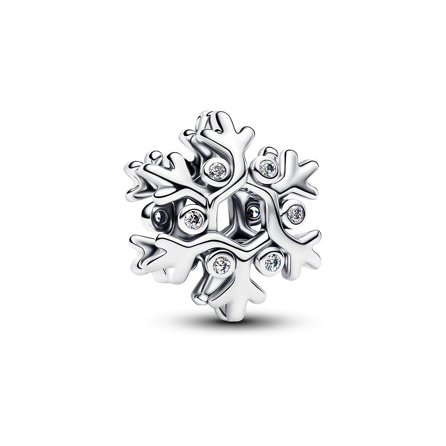 Pandora Charm Moments 794249C01