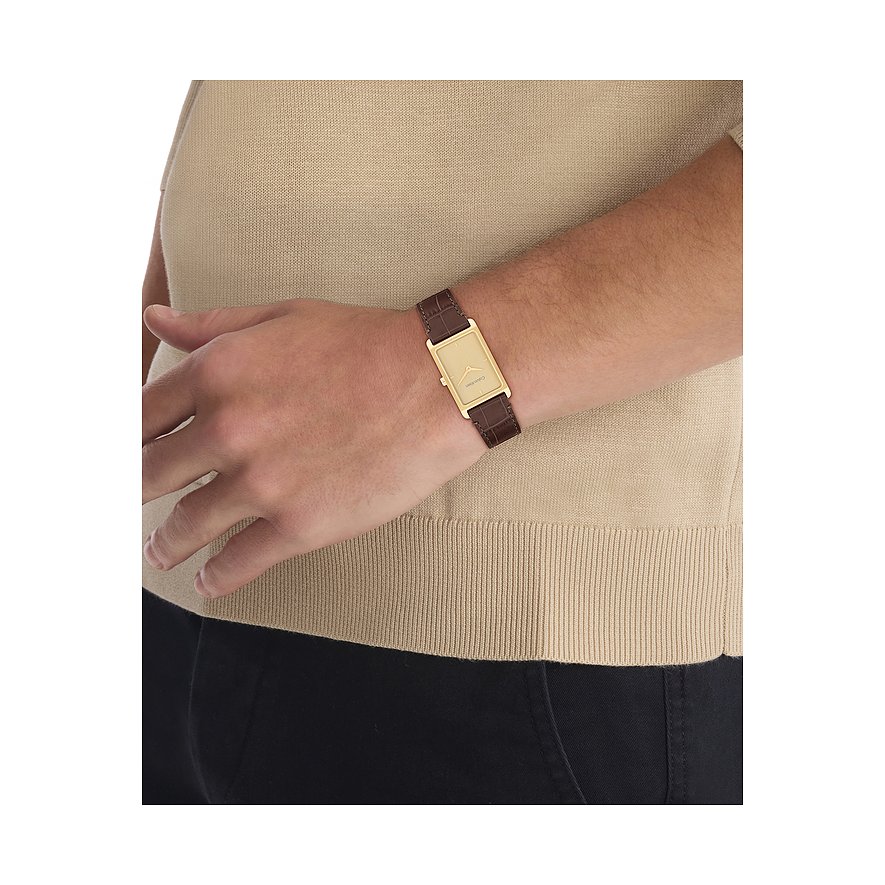 Calvin Klein herenhorloge van goudkleurig roestvrij staal met een eenvoudig wijzerblad en bruine leren band om de pols.