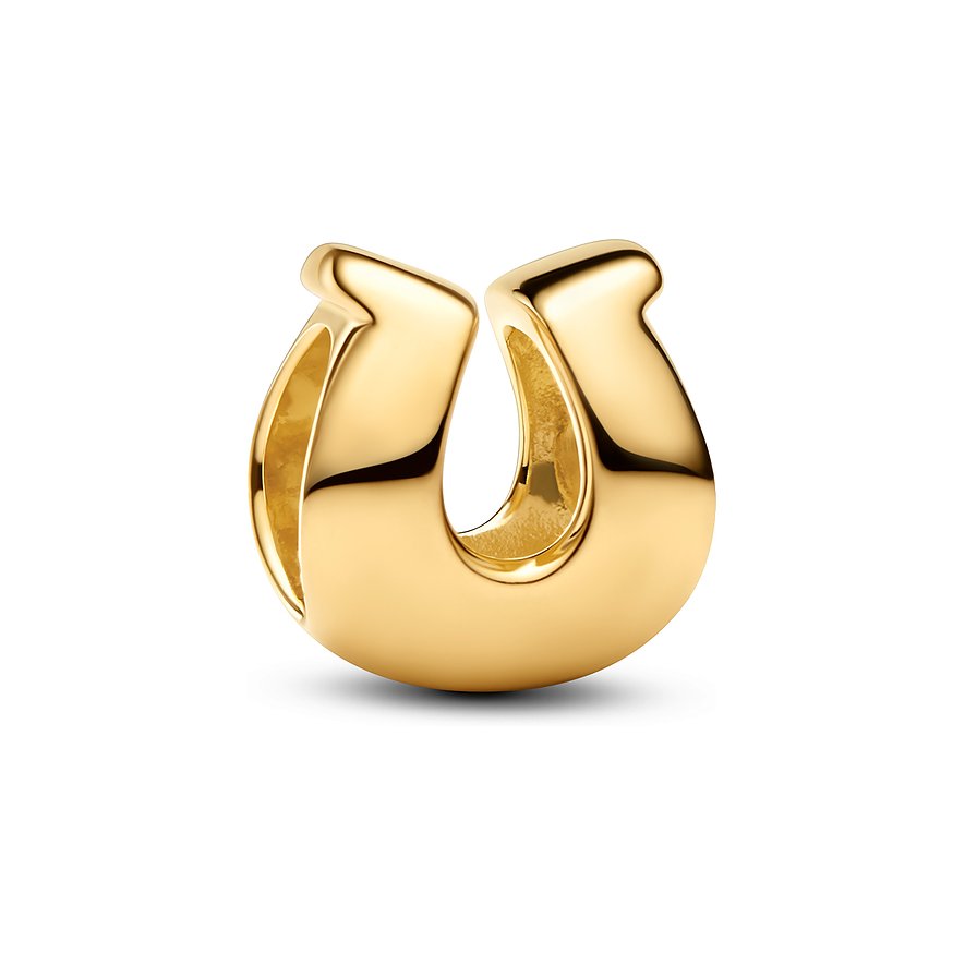 Pandora Charm Moments 764517C00