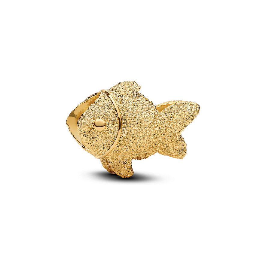 Pandora Charm Moments 764522C00