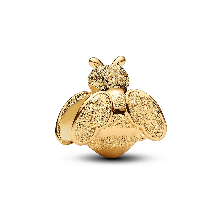 Pandora Charm Moments 764524C00