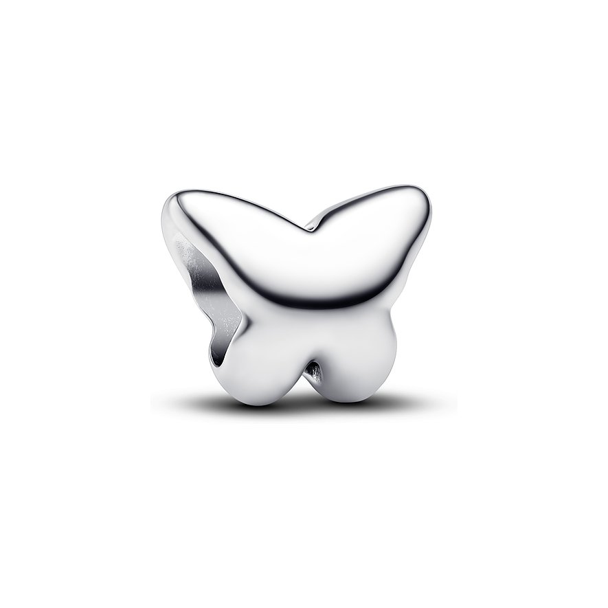 Pandora Charm Moments 794519C00