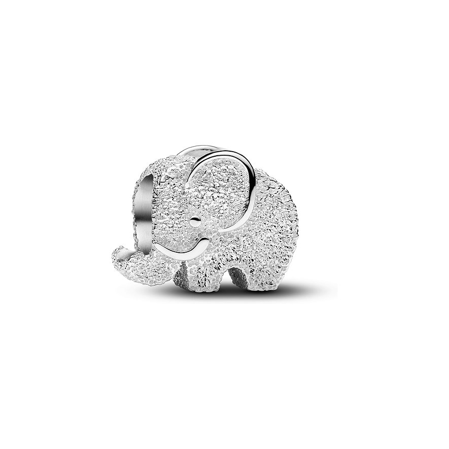 Pandora Charm Moments 794528C00