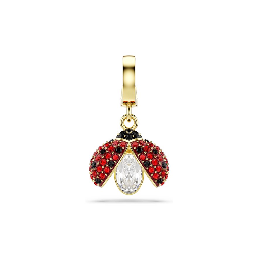 Swarovski Charm Global Collection 5743138