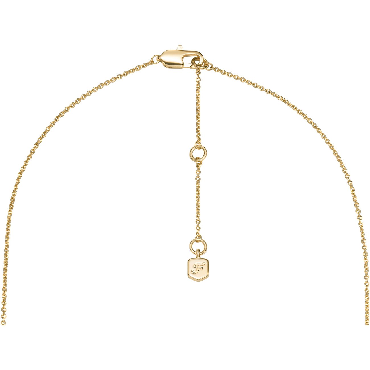 Le dos d'un collier Fossil en métal doré avec fermoir mousqueton et chaîne d'extension.