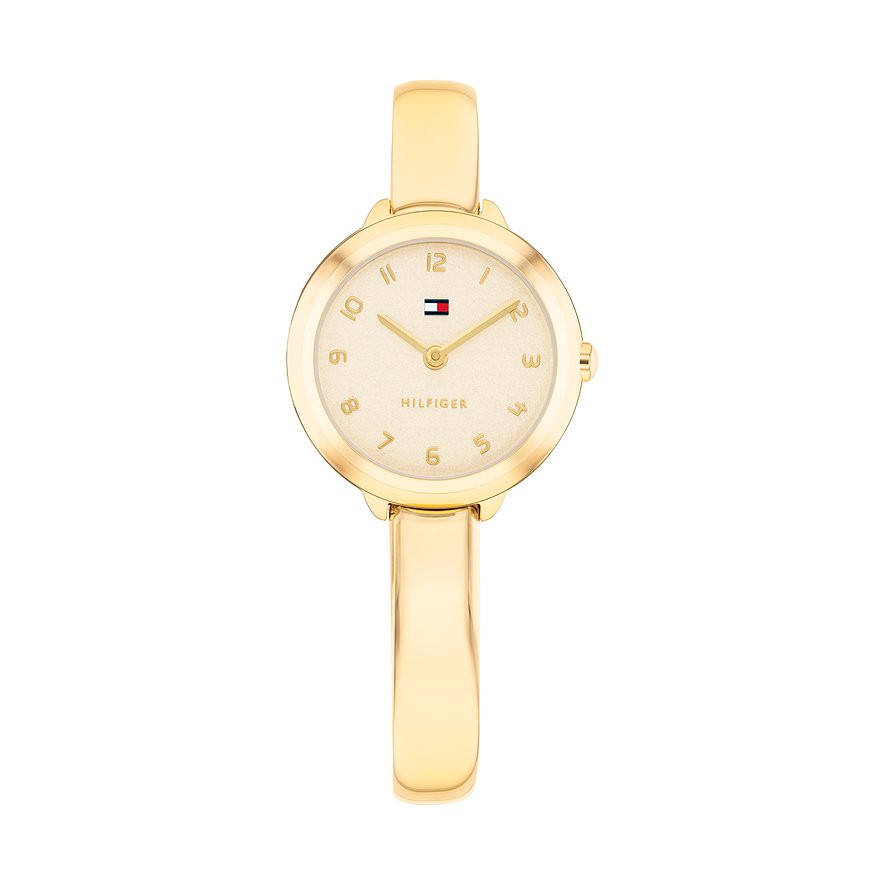 Tommy Hilfiger Taucheruhr DEMI 1782895, Damen, Edelstahl, Armband: Edelstahl, Quarz, analog