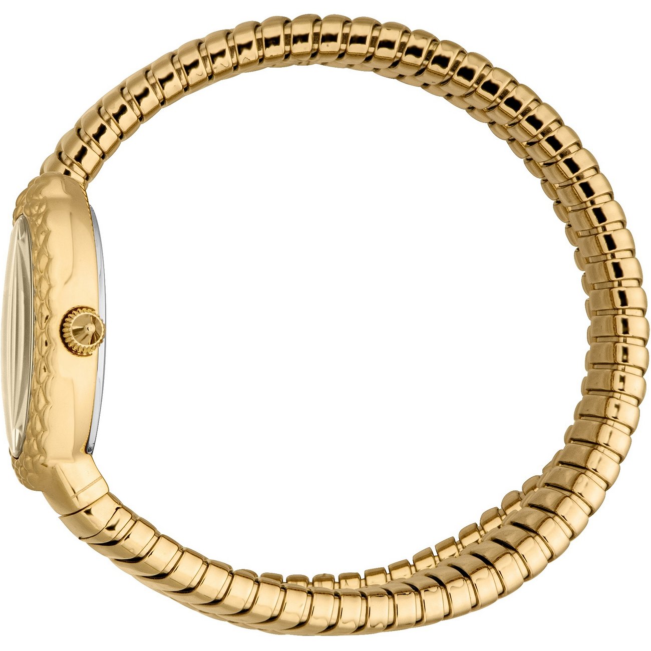 Seitenansicht der Just Cavalli Damenuhr aus goldenem Edelstahl mit Schlangenkette und runder Lünette.