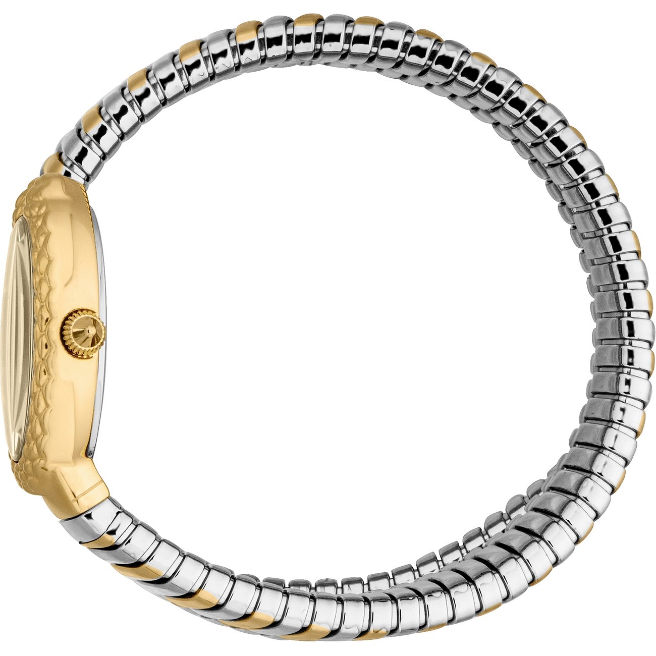 Seitenansicht der Just Cavalli Damenuhr aus gold- und silberfarbenem Edelstahl, das Band ist wellenförmig.