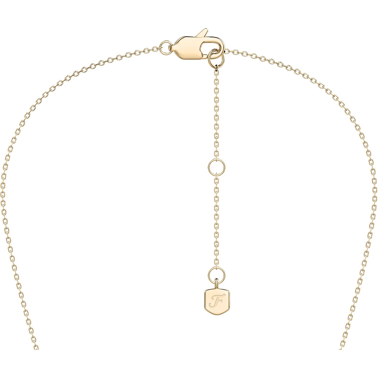 Rückseite einer Fossil Halskette aus goldfarbenem Edelstahl mit Karabinerverschluss und kleiner Plakette mit „F“-Logo.